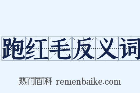 跑红毛反义词是什么意思的图片